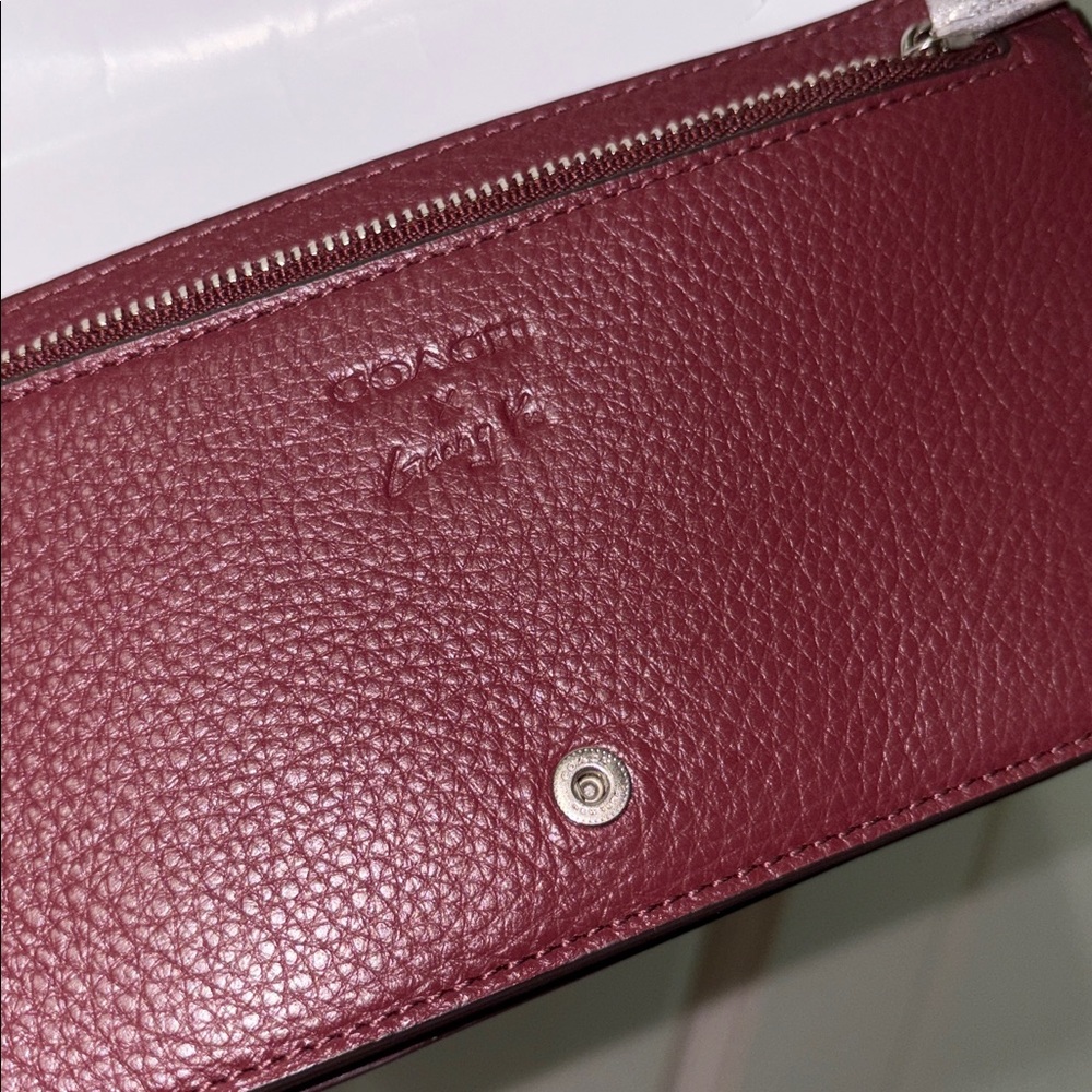 Coach rexy Anna fold-over NWT x Guang Yu crossbody - Picture 8 of 13